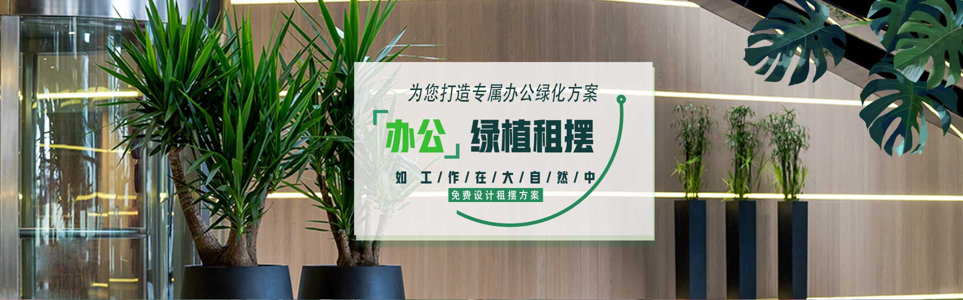 首页幻灯2