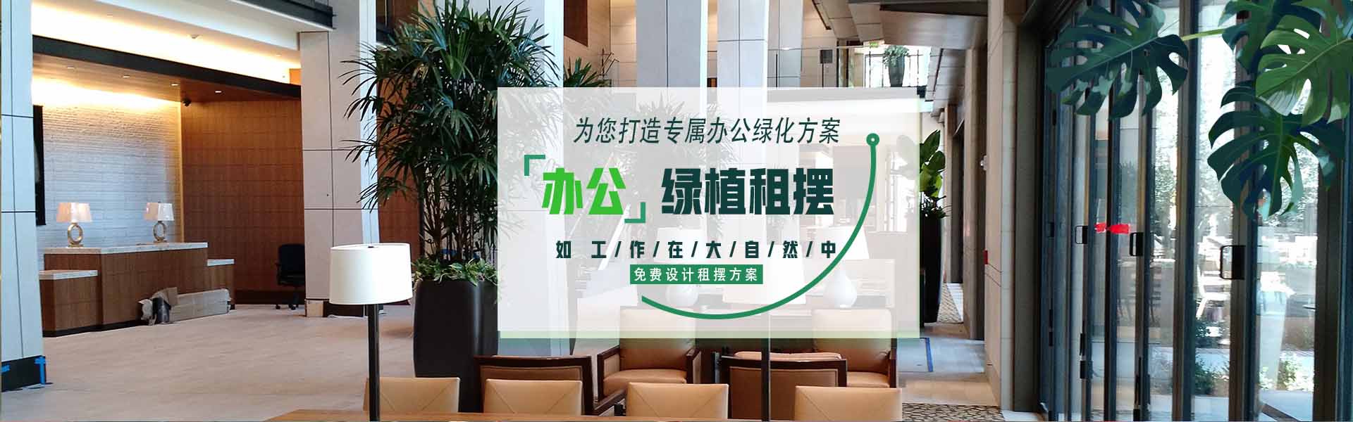 首页幻灯1