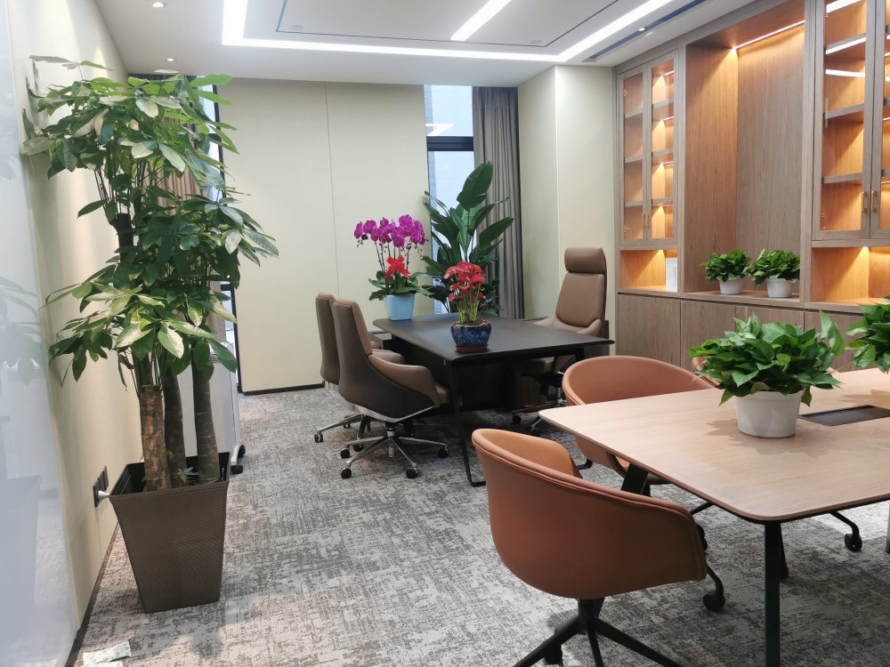 蜂巢能源科技办公绿植租摆