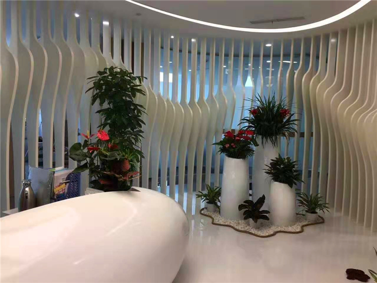 圣奥办公家具绿植租赁