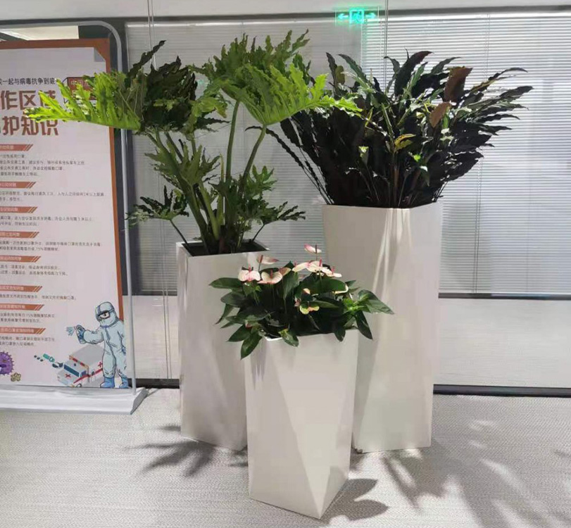 张家港办公植物租赁
