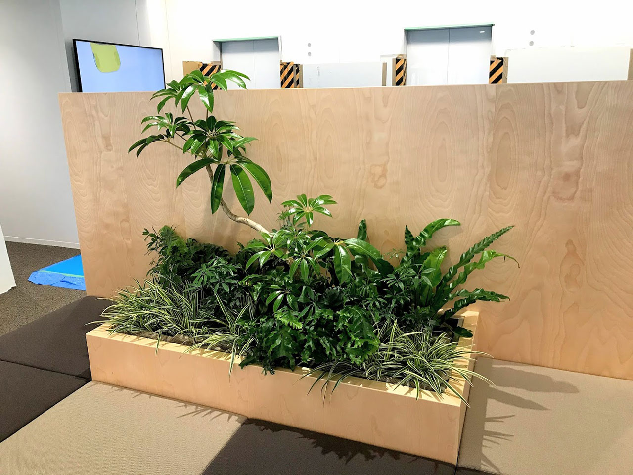 苏州绿植租赁