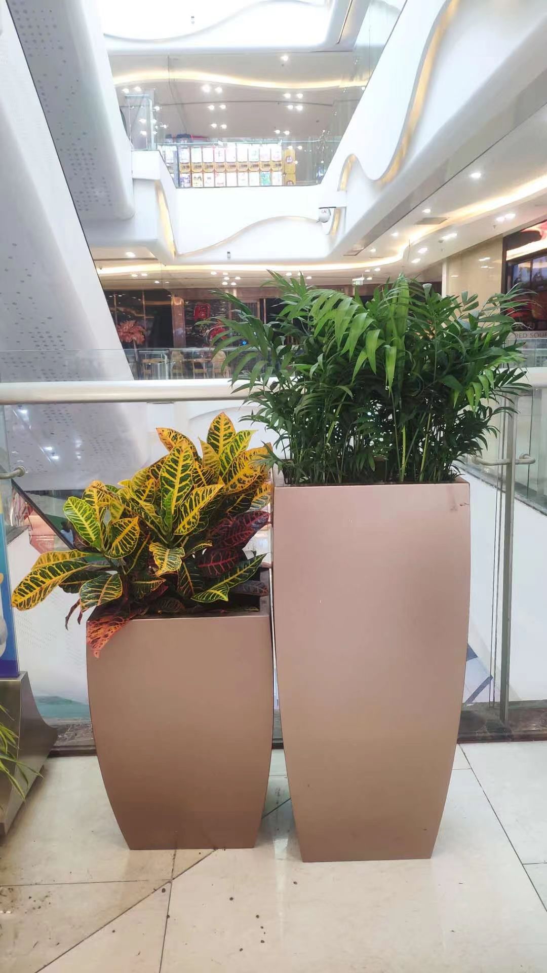 商场绿植租摆