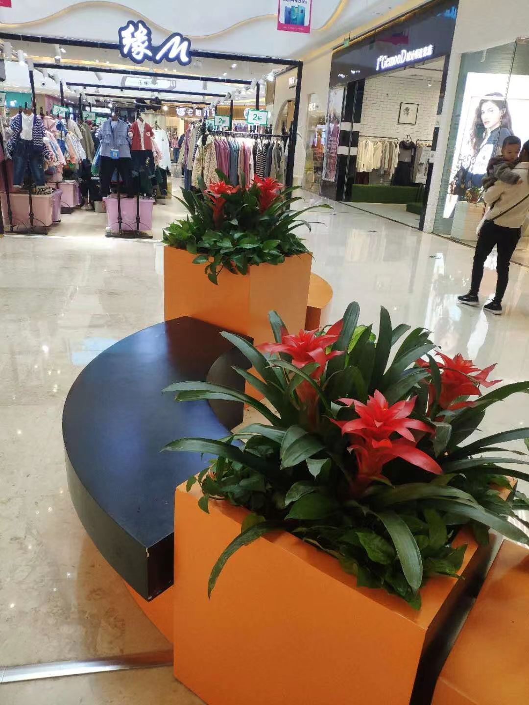 苏州商场租绿植
