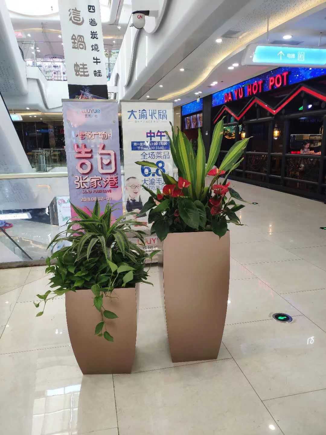 商场绿植租赁
