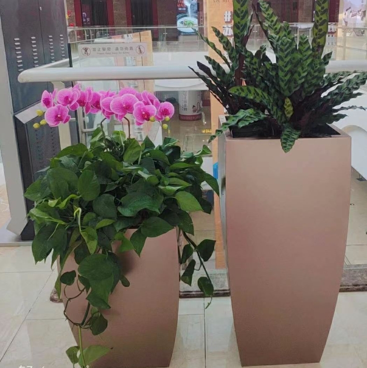 吾悦广场绿植租赁养护服务