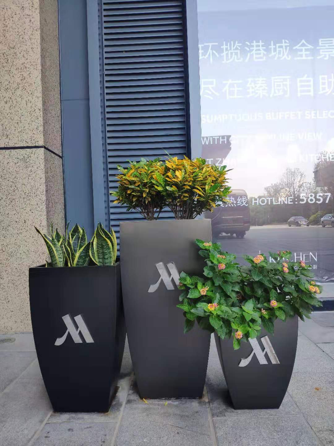酒店绿植租摆