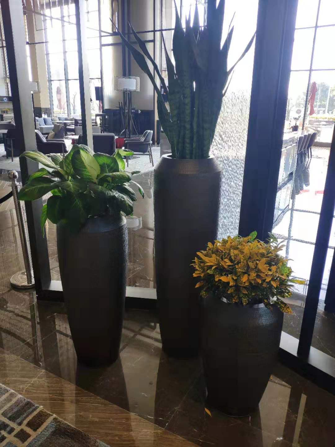 苏州酒店租绿植