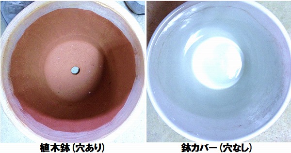 花卉租摆中有也花盆与无孔花盆的选择